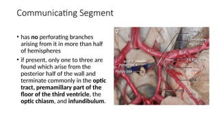 Comprehensive Overview of Anterior Circulation Cerebrovascular Anatomy ...