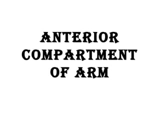 ANTERIOR
COMPARTMENT
OF ARM
 