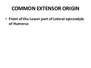 Anterior compartment of forearm.pptx