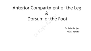 Anterior Compartment of the Leg
&
Dorsum of the Foot
Dr Rajiv Ranjan
RIMS, Ranchi
D
rR
ajiv
R
anjan
 