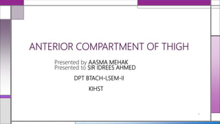 ANTERIOR COMPARTMENT OF THIGH
Presented by AASMA MEHAK
Presented to SIR IDREES AHMED
DPT BTACH-I,SEM-II
KIHST
1
 