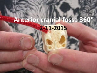 Anterior cranial fossa 360°
29-9-2016
7.49 pm
 
