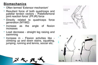 Anterior knee pain | PPT