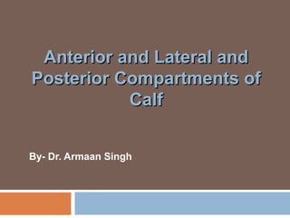 Anterior and Lateral andAnterior and Lateral and
Posterior Compartments ofPosterior Compartments of
CalfCalf
By- Dr. Armaan Singh
 
