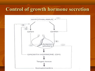 Anterior pituitary hormones 2nd | PPT