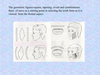 Anterior teeth selection in complete denture.pptx