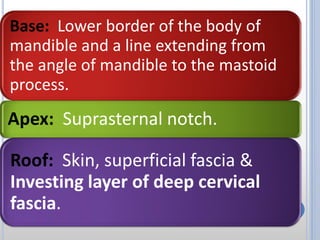 Base: Lower border of the body of
mandible and a line extending from
the angle of mandible to the mastoid
process.
Apex: Suprasternal notch.
Roof: Skin, superficial fascia &
Investing layer of deep cervical
fascia.
 