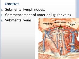 CONTENTS
1. Submental lymph nodes.
2. Commencement of anterior jugular veins
3. Submental veins.
 