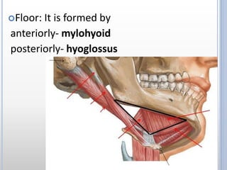 Floor: It is formed by
anteriorly- mylohyoid
posteriorly- hyoglossus
 