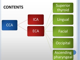 CCA
ICA
ECA
Superior
thyroid
Lingual
Facial
Occipital
Ascending
pharyngeal
CONTENTS
 