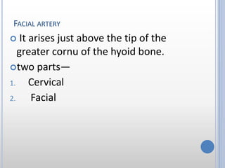FACIAL ARTERY
 It arises just above the tip of the
greater cornu of the hyoid bone.
two parts—
1. Cervical
2. Facial
 