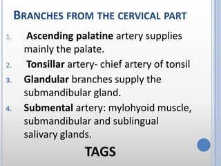 BRANCHES FROM THE CERVICAL PART
1. Ascending palatine artery supplies
mainly the palate.
2. Tonsillar artery- chief artery of tonsil
3. Glandular branches supply the
submandibular gland.
4. Submental artery: mylohyoid muscle,
submandibular and sublingual
salivary glands.
TAGS
 