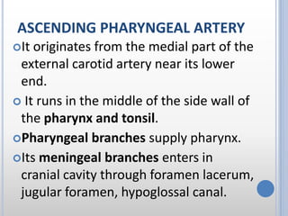 ASCENDING PHARYNGEAL ARTERY
It originates from the medial part of the
external carotid artery near its lower
end.
 It runs in the middle of the side wall of
the pharynx and tonsil.
Pharyngeal branches supply pharynx.
Its meningeal branches enters in
cranial cavity through foramen lacerum,
jugular foramen, hypoglossal canal.
 