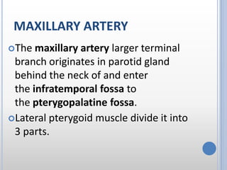 MAXILLARY ARTERY
The maxillary artery larger terminal
branch originates in parotid gland
behind the neck of and enter
the infratemporal fossa to
the pterygopalatine fossa.
Lateral pterygoid muscle divide it into
3 parts.
 