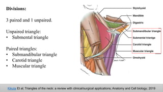Anterior triangles of neck | PPTX
