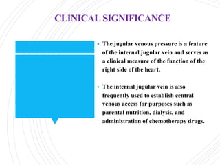 Comprehensive Anatomy and Clinical Insights of the Anterior Triangle of ...