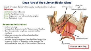 Hypoglossal	nerve
Lingual	nerve
Deep	Part
of
Submandibular	Gland
Genioglossus
Sublingual	Gland
Deep	Part	of	The	Submandibular	Gland	
Extends forwards in the interval between the mylohyoid and the hyoglossus
Relations:
Laterally : mylohyoid muscle
Medially	:	hyoglossus muscle
Above	:	lingual	nerve	and	submandibular	ganglion	
Below	:	hypoglossal	nerve.	
Submandibular duct:
• Is about 5cm long
• Emerges from the anterior end of the deep part of the gland
• Runs forwards on the hyoglossus under cover of the
mylohyoid
• It then runs between the sublingual gland and the
genioglossus muscle
• where the lingual nerve crosses lateral and then hooks below
it opens in the floor of the mouth , on the summit of the
sublingual papilla at the side of the frenulum of the tongue
Mohamed el fiky
 