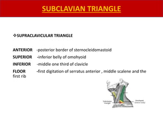 ❖SUPRACLAVICULAR TRIANGLE
ANTERIOR -posterior border of sternocleidomastoid
SUPERIOR -inferior belly of omohyoid
INFERIOR -middle one third of clavicle
FLOOR -first digitation of serratus anterior , middle scalene and the
first rib
SUBCLAVIAN TRIANGLE
 