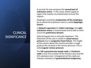 CLINICAL
SIGNIFICANCE
A cervical rib may compress the second part of
subclavian artery . In this cases, blood supply to
upper limb reaches via anastomoses around the
scapula .
Dysphagia caused by compression of the esophagus
by an abnormal subclavian artery is called dysphagia
lusoria.
In blalock’s operation for fallot’s tetralogy ,the right
subclavian artery is anastomosed end to side to short
circuit the pulmonary stenosis.
External jugular vein is clinically important . The
distention of this vein is visible in raised venous
pressure due to congestive heart failure. The height
of the column above the clavicle provides a rough
guide to the increase in the venous pressure. This is
called jugular venous pressure.
The left supraclavicular lymph node or Virchow’s
node is near the junction of the thoracic duct and the
left subclavian vein. Enlargement of this node can
indicate metastasis of gastrointestinal malignancy.
 