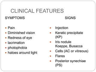 CLINICAL FEATURES
SYMPTOMS
 Pain
 Diminished vision
 Redness of eye
 lacrimation
 photophobia
 haloes around light
SIGNS
 Injection
 Keratic precipitate
(KP)
 Iris nodule
Koeppe, Busacca
 Cells (AC or vitreous)
 Flares
 Posterior synechiae
(PS)
 