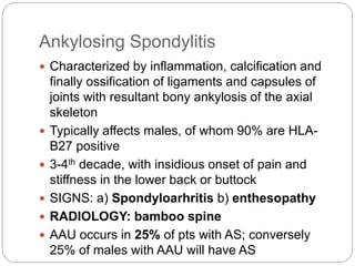Ankylosing Spondylitis
 Characterized by inflammation, calcification and
finally ossification of ligaments and capsules of
joints with resultant bony ankylosis of the axial
skeleton
 Typically affects males, of whom 90% are HLA-
B27 positive
 3-4th decade, with insidious onset of pain and
stiffness in the lower back or buttock
 SIGNS: a) Spondyloarhritis b) enthesopathy
 RADIOLOGY: bamboo spine
 AAU occurs in 25% of pts with AS; conversely
25% of males with AAU will have AS
 