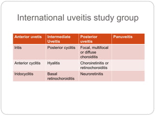 International uveitis study group
Anterior uvetis Intermediate
Uveitis
Posterior
uveitis
Panuveitis
Iritis Posterior cyclitis Focal, multifocal
or diffuse
choroiditis
Anterior cyclitis Hyalitis Choroiretinitis or
retinochoroiditis
Iridocyclitis Basal
retinochoroiditis
Neuroretinitis
 