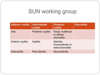 SUN working group
Anterior uveitis Intermediate
uveitis
Posterior
uveitis
Panuveitis
Iritis Posterior cyclitis Focal, multifocal
or diffuse
choroiditis
Anterior cyclitis Hyalitis Retinitis,
Choroiretinitis or
retinochoroiditis
Iridocyclitis Pars planitis Neuroretinitis
 