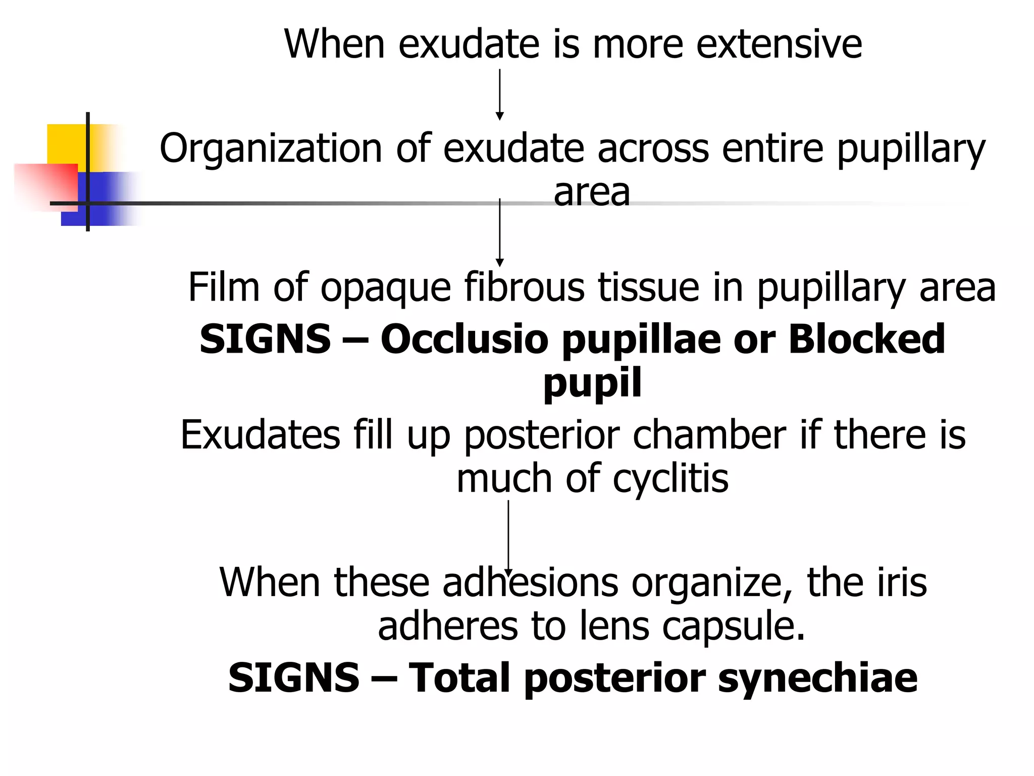 anterior uveitis.pptx