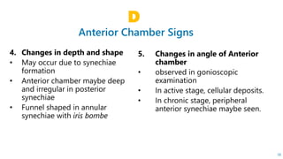 Anterior Chamber Signs
D
18
 