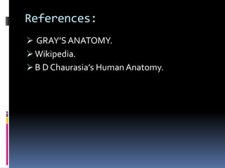 References:
 GRAY’S ANATOMY.
 Wikipedia.
 B D Chaurasia’s Human Anatomy.
 