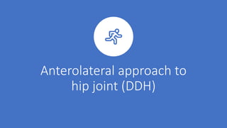 Anterolateral approach to
hip joint (DDH)
 