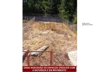 Ainda com as
                                       galinhas da vizinha




ONDE NASCERÃO OS ESPAÇOS CRESCER COM
      A NATUREZA E EM MOVIMENTO
 