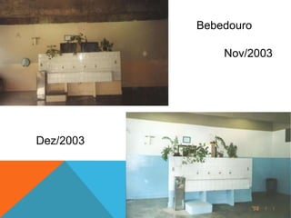 Bebedouro
Nov/2003
Dez/2003
 