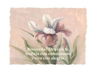 Recuerda:  Ora con fe, trabaja con entusiasmo  y vive con alegría. 