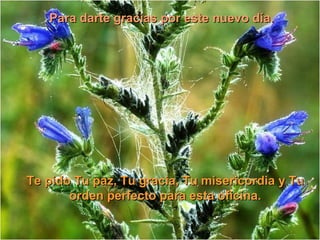 Para darte gracias por este nuevo día.




Te pido Tu paz, Tu gracia, Tu misericordia y Tu
       orden perfecto para esta oficina.
 