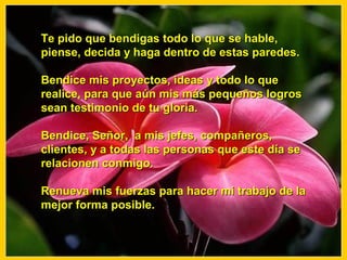 Te pido que bendigas todo lo que se hable,
piense, decida y haga dentro de estas paredes.

Bendice mis proyectos, ideas y todo lo que
realice, para que aún mis más pequeños logros
sean testimonio de tu gloria.

Bendice, Señor, a mis jefes, compañeros,
clientes, y a todas las personas que este día se
relacionen conmigo.

Renueva mis fuerzas para hacer mi trabajo de la
mejor forma posible.
 
