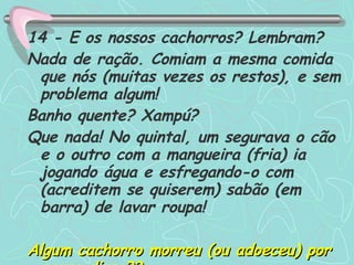 14 - E os nossos cachorros? Lembram? Nada de ração. Comiam a mesma comida que nós (muitas vezes os restos), e sem problema algum! Banho quente? Xampú? Que nada! No quintal, um segurava o cão e o outro com a mangueira (fria) ia jogando água e esfregando-o com (acreditem se quiserem) sabão (em barra) de lavar roupa! Algum cachorro morreu (ou adoeceu) por causa disso?? 