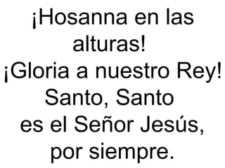 ¡Hosanna en las
alturas!
¡Gloria a nuestro Rey!
Santo, Santo
es el Señor Jesús,
por siempre.
 
