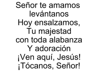 Señor te amamos
levántanos
Hoy ensalzamos,
Tu majestad
con toda alabanza
Y adoración
¡Ven aquí, Jesús!
¡Tócanos, Señor!
 