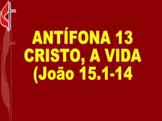 ANTÍFONA 13 CRISTO, A VIDA (João 15.1-14 