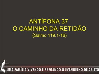 ANTÍFONA 37
O CAMINHO DA RETIDÃO
     (Salmo 119.1-16)
 