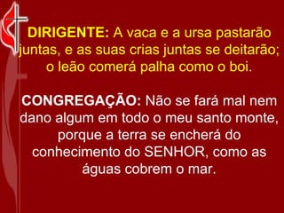 DIRIGENTE:  A vaca e a ursa pastarão juntas, e as suas crias juntas se deitarão; o leão comerá palha como o boi. CONGREGAÇÃO:  Não se fará mal nem dano algum em todo o meu santo monte, porque a terra se encherá do conhecimento do SENHOR, como as águas cobrem o mar. 