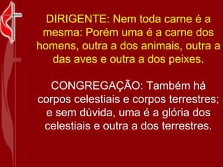 DIRIGENTE: Nem toda carne é a mesma: Porém uma é a carne dos homens, outra a dos animais, outra a das aves e outra a dos peixes. CONGREGAÇÃO: Também há corpos celestiais e corpos terrestres; e sem dúvida, uma é a glória dos celestiais e outra a dos terrestres. 