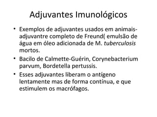 Adjuvantes Imunológicos
• Exemplos de adjuvantes usados em animaisadjuvantre completo de Freund( emulsão de
água em óleo adicionada de M. tuberculosis
mortos.
• Bacilo de Calmette-Guérin, Corynebacterium
parvum, Bordetella pertussis.
• Esses adjuvantes liberam o antígeno
lentamente mas de forma contínua, e que
estimulem os macrófagos.

 