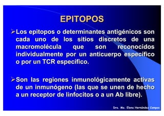 EPITOPOS
Los epitopos o determinantes antigénicos son
cada uno de los sitios discretos de una
macromolécula     que    son     reconocidos
individualmente por un anticuerpo específico
o por un TCR específico.

Son las regiones inmunológicamente activas
de un inmunógeno (las que se unen de hecho
a un receptor de linfocitos o a un Ab libre).
                               Dra. Ma. Elena Hernández Campos
 