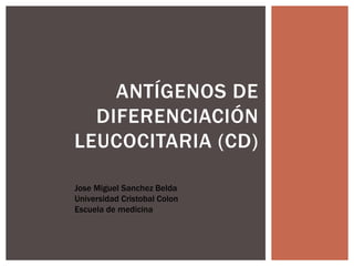 ANTÍGENOS DE
DIFERENCIACIÓN
LEUCOCITARIA (CD)
Jose Miguel Sanchez Belda
Universidad Cristobal Colon
Escuela de medicina
 