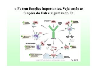 o Fc tem funções importantes. Veja então as
funções do Fab e algumas do Fc:

 