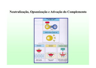 Neutralização, Opsonização e Ativação do Complemento

 