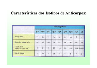 Características dos Isotipos de Anticorpos:

 