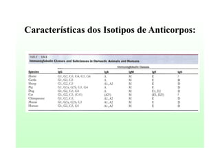 Características dos Isotipos de Anticorpos:

 